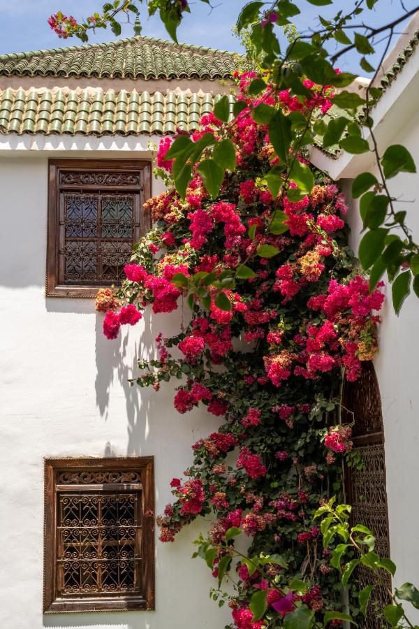 Riad Alma Marrakesh Eksteriør billede