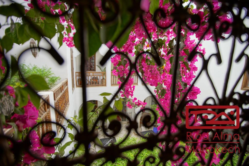 Riad Alma Marrakesh Eksteriør billede